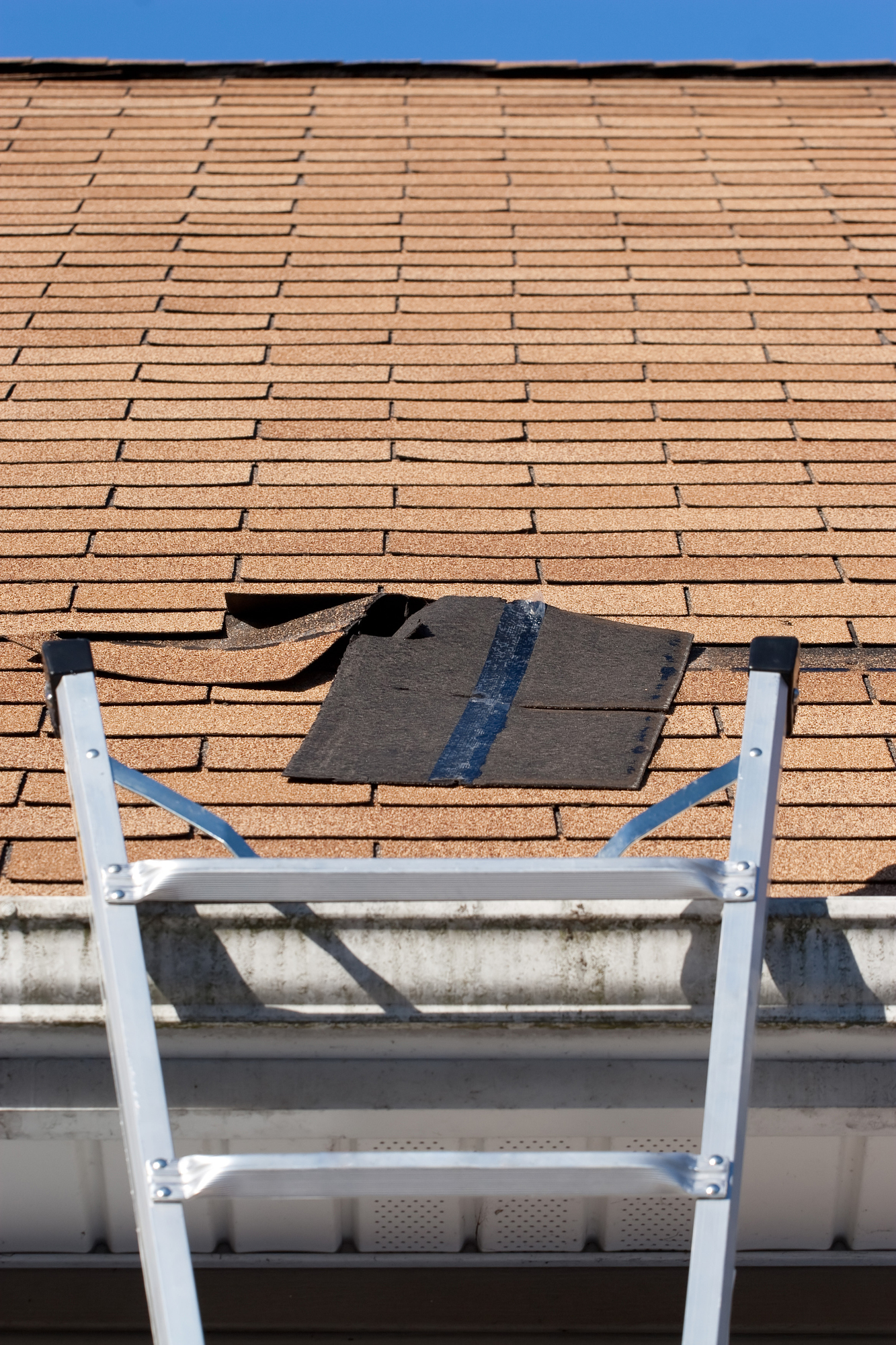 A ladder is positioned against a house with asphalt shingles, where some shingles near the roof peak are damaged and lifted.