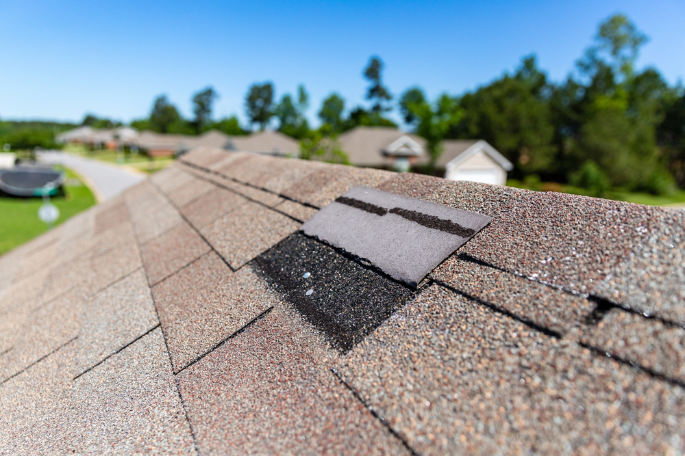 Close-up of a house roof with a missing asphalt shingle, exposing the black underlayment; other houses and trees are visible in the background.