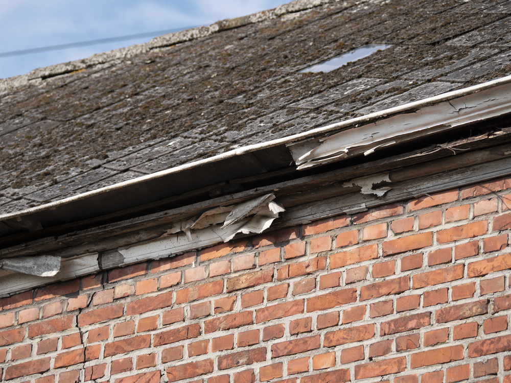 Insurance Claim Assistance and Documentation in Selma TX